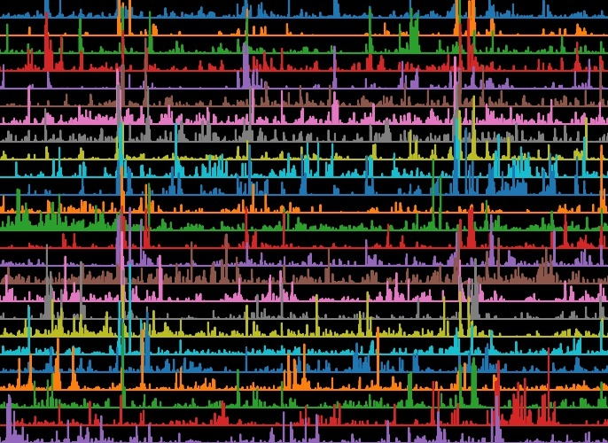 Colorful overlapping line graphs representing neural electrophysiology signals on a black background.